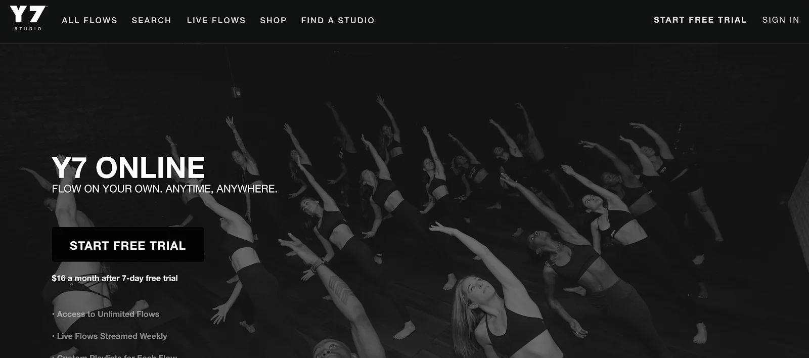 online-fitness-studio