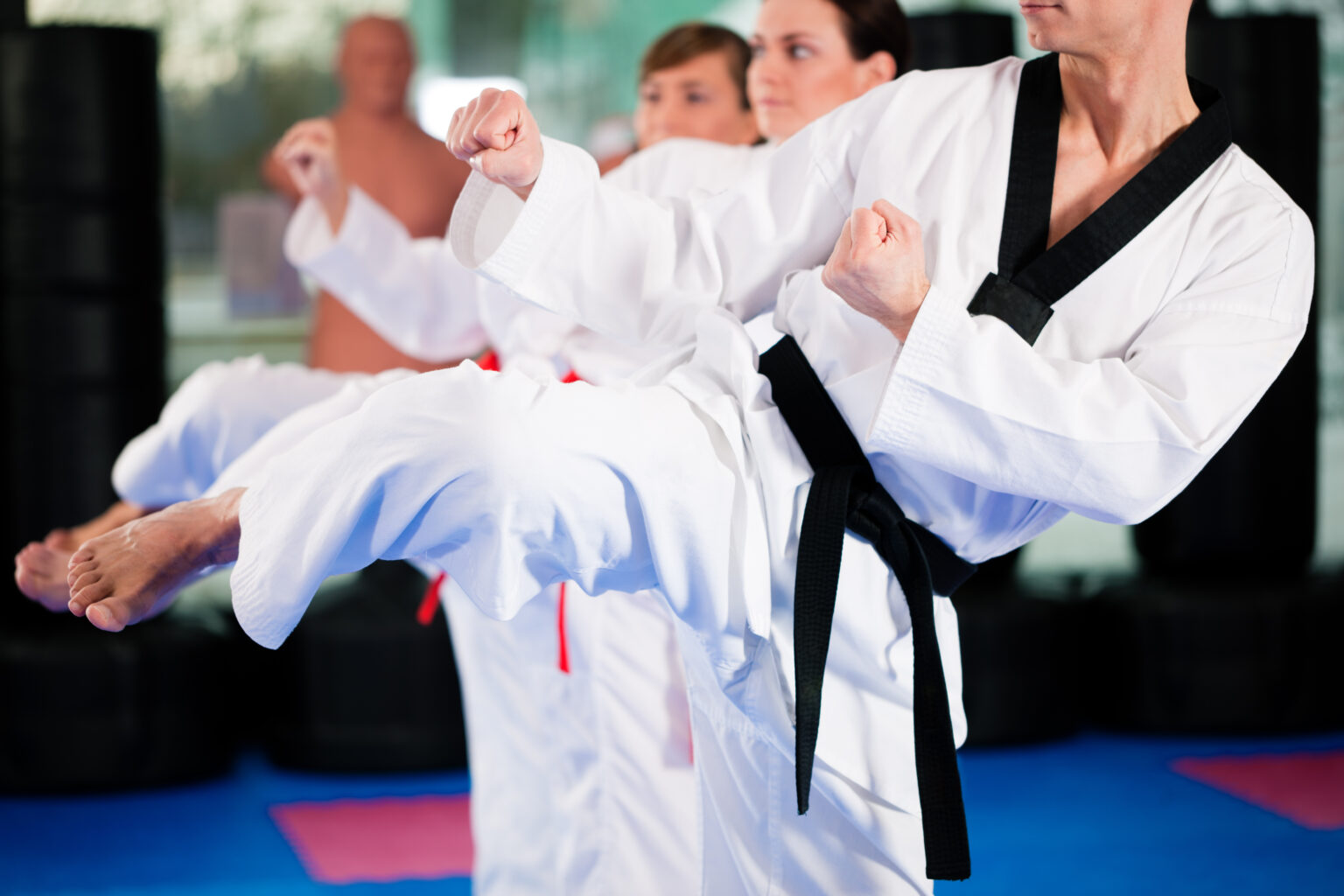 13 Martial Arts Industry Trends You Need to Know - Boutique Fitness and