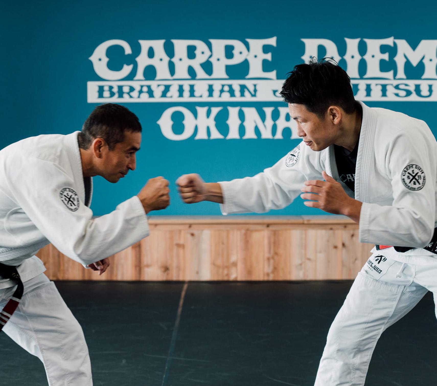 top-mv03-1 top-mv03-1